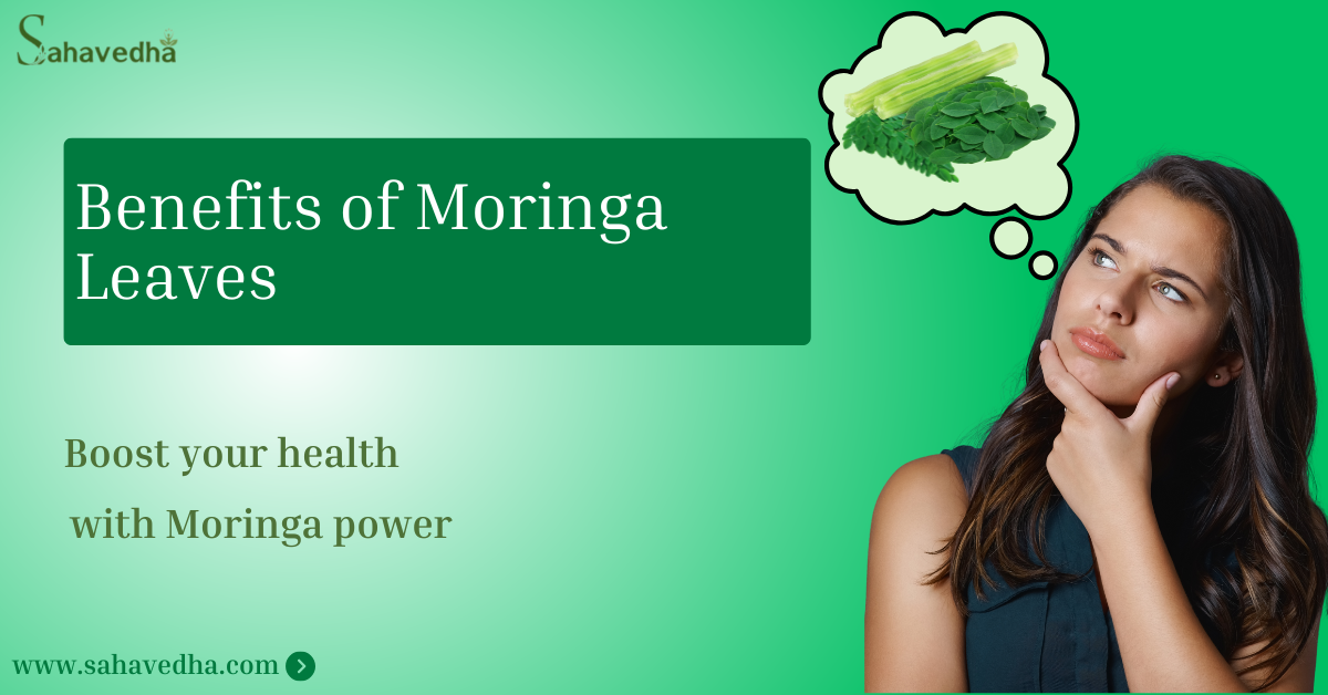 Benefits of Moringa Leaves